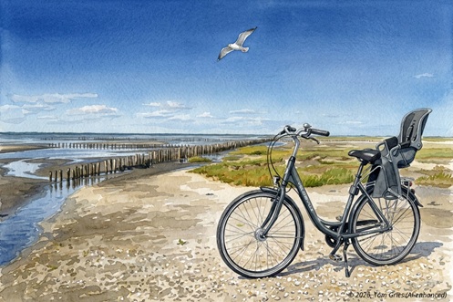 Cityrad VELO DE VILLE mit Kindersitz in Stuffhusen, Westerhever