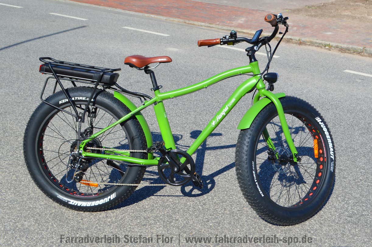 babboe dog fahrrad leihen sankt peter ording