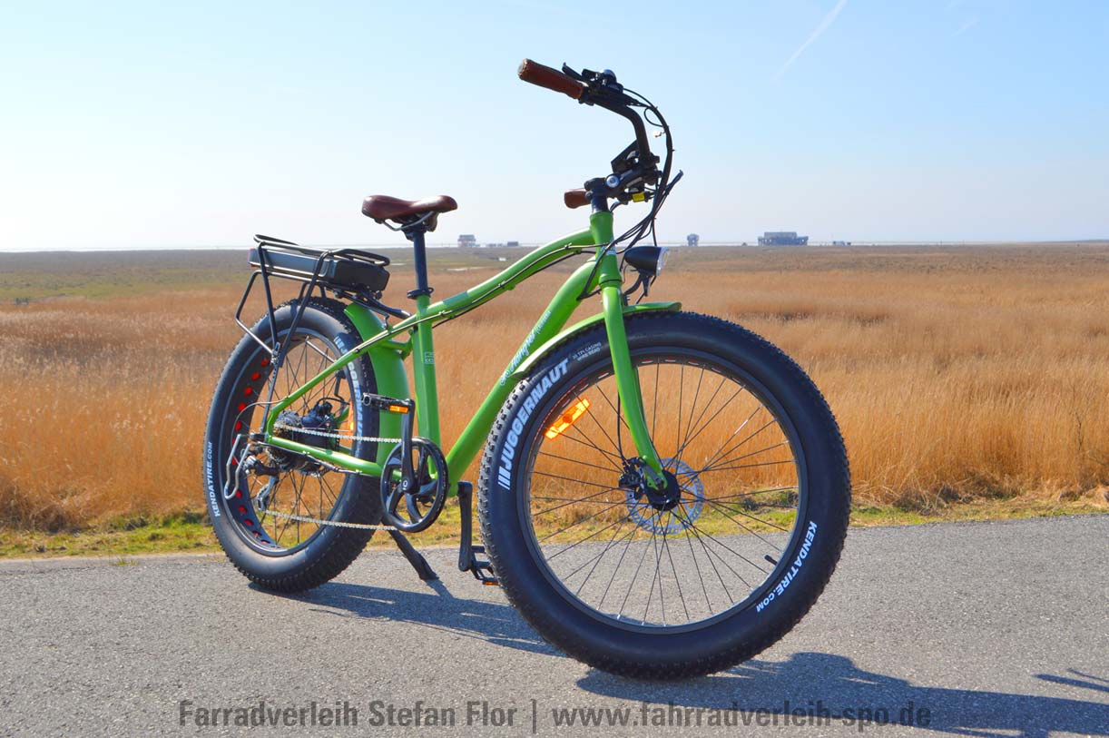 babboe dog fahrrad leihen sankt peter ording